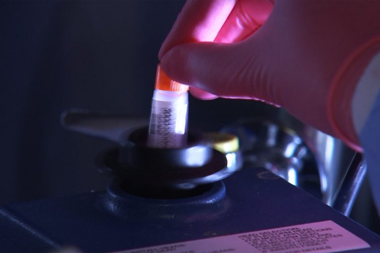 Assessing where vaccine efforts stand and the challenges ahead