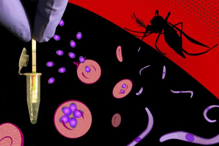 Fast, inexpensive test for malaria drills down to specifics