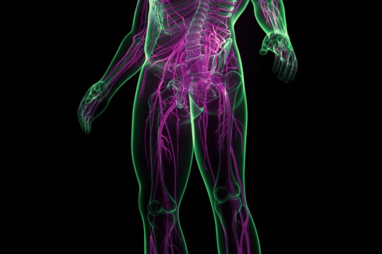 Does nerve damage contribute to long COVID symptoms?